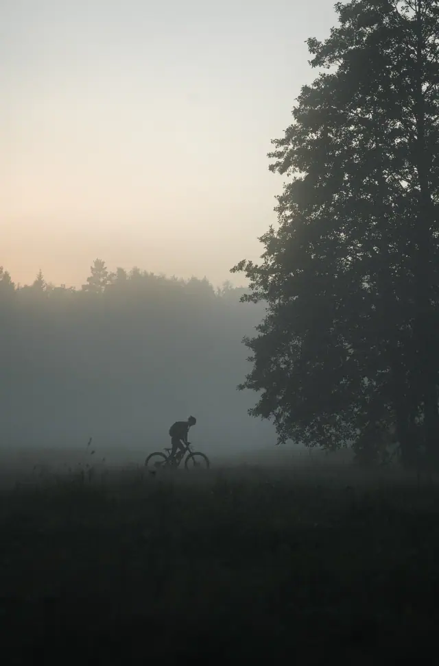 A cyclist riding through a misty forest