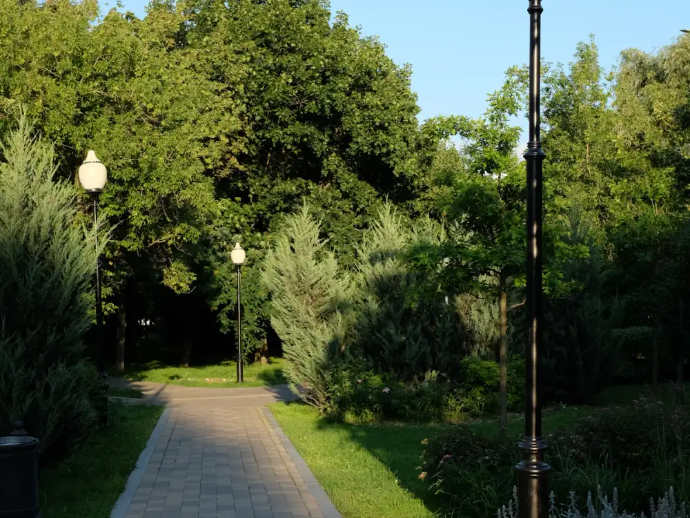 A paved walking path through a green park