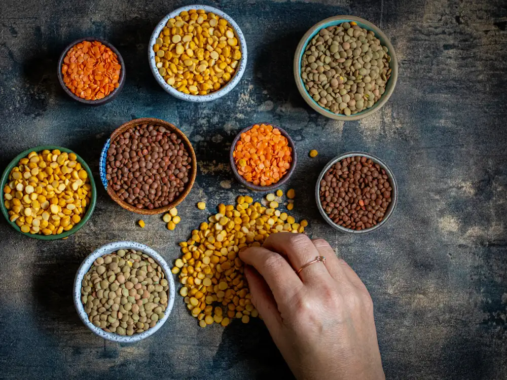 Bowls of dried lentils and split pulses on a dark table